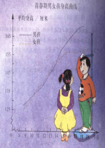 9.1用表格表示变量之间的关系课件(鲁教版六年级下)