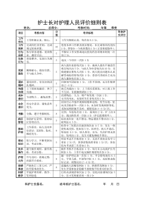 护士长对护士评价细则表