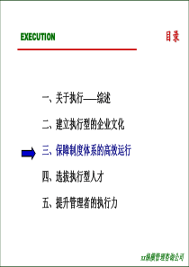 保障制度体系的高效运行(1)