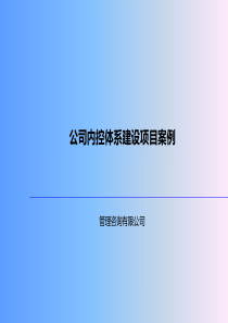 公司内控体系建设项目案例