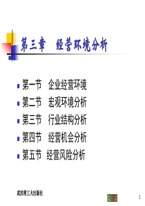 现代企业经营与管理第三章经营环境分析