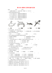 七年级科学下册第六章《动物和人的生殖与发育》测试题1(无答案)华东师大版