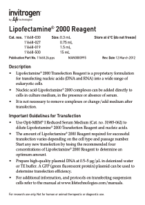 invitrogen-lipofectamine2000