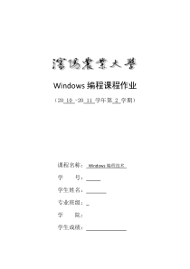 Windows编程大作业