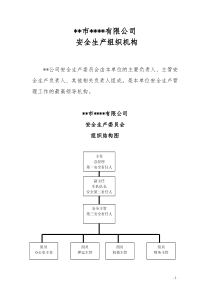 危险品运输企业安全生产组织机构