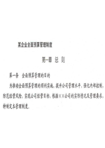 全面预算管理制度与表格案例