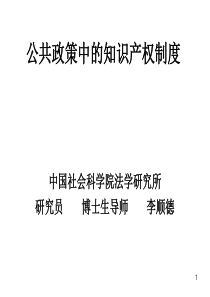 公共政策中的知识产权制度