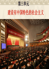 建设有中国特色的社会主义复习课件