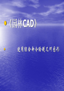 CAD优质课课件