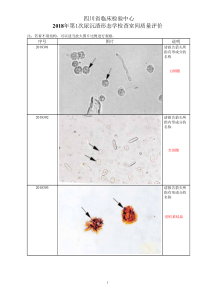 2018年第1次尿沉渣形态学检查室间质量评价图片