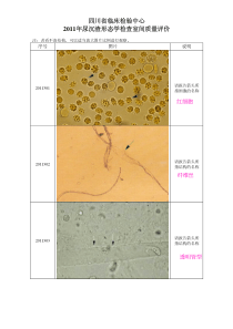 汇总省-2011-17年合并尿沉渣形态学检查室间质量评价图片(附整理答案)