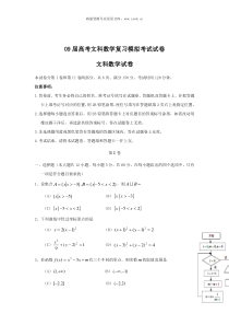 09届高考文科数学复习模拟考试试卷