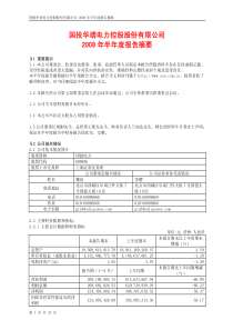 国投华靖电力控股股份有限公司