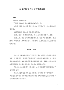 公司子公司分公司管理办法