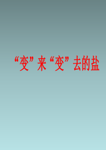 《1-“变”来“变”去的盐》课件1