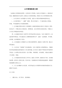 公司管理制度大纲(31)(1)