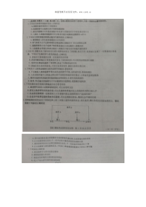 2019届辽宁省辽阳市高三生物二模试题