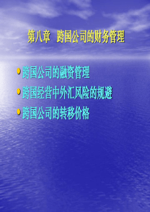 第八章___跨国公司的财务管理