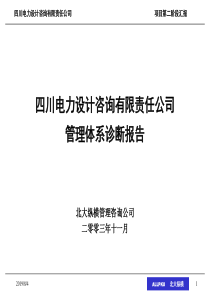 四川电力诊断报告