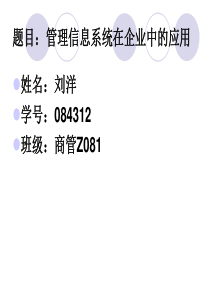 管理信息系统在企业中应用