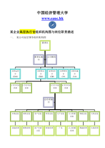 管理大学 学员课件《某企业高层执行官组织机构图与岗位职责描述