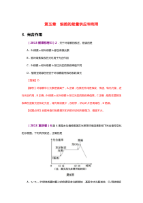 生物1226细胞的能量供应和利用