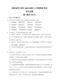 陕西省师大附中2009届高三上学期期末考试语文试题