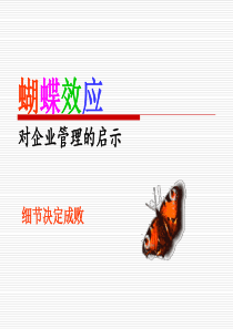 蝴蝶效应对企业管理的启示 PPT