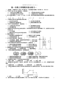 高一生物上学期期末综合练习1