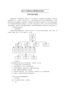 某中小型企业管理信息系统分析与设计报告