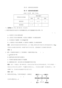 高中生物人教版同步习题51基因突变和基因重组必修2高中生物练习试题