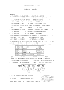 高中生物必修1细胞呼吸同步练习