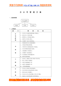 分公司管理办法（DOC9页）