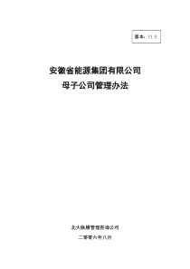 分报告5-安徽省能源集团有限公司母子公司管理办法V10