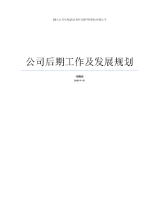 公司后期工作及发展规划