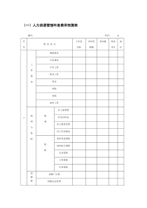 人力资源年度费用预算表