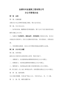 分公司管理办法