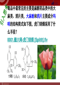 化学312酚课件人教版选修5高中化学课件