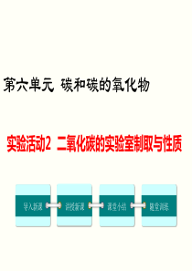 实验活动2二氧化碳的实验室制取与性质