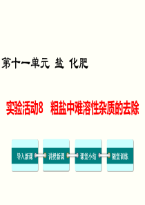 实验活动8粗盐中难溶性杂质的去除