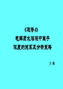 讲课离子浓度比较高中化学课件