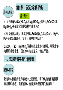 高三化学课件鲁科版沉淀溶解平衡溶度积及计算高三化学课件