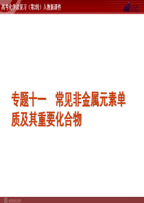 高考化学二轮复习精品课件专题11常见非金属元素单质及其重要化合物高中化学课件