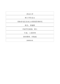 青海省电信实业公司绩效管理研究(1)