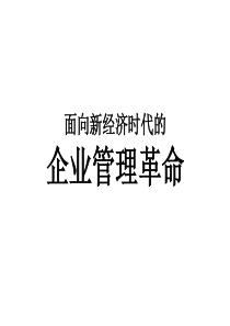 面向新经济时代的--企业管理革命