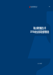 鞍山钢铁集团公司XXXX年管理报告