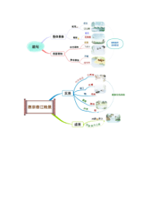 (部编)三年级语文下册--思维导图