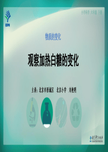 1观察加热白糖的变化教科版科学六年级下册教学资源