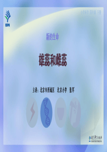 2雄蕊和雌蕊教科版科学四年级下册教学资源