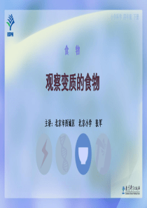 5观察变质的食物教科版科学四年级下册教学资源